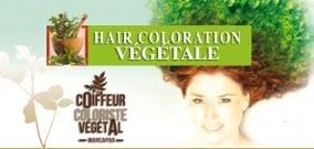 Hair Coloration Végétale